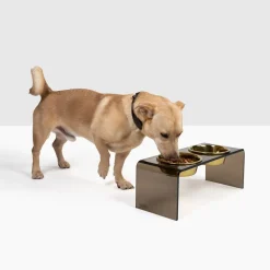 Acrylic Bronze Double Bowl Elevated Pet Feeder For Large & Small Dogs