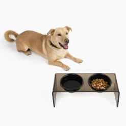 Acrylic Bronze Double Bowl Elevated Pet Feeder For Large & Small Dogs