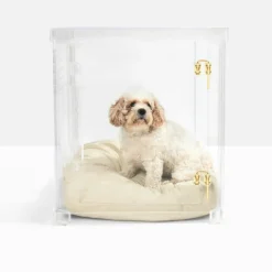 Acrylic Dog Crate & Gate | Medium Size