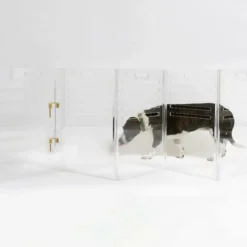 Acrylic Dog Crate & Gate | Medium Size