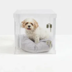 Acrylic Dog Crate & Gate | Small Size Dogs