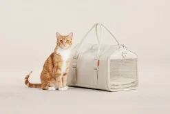 Airline Approved Porto Canvas Cat Carrier