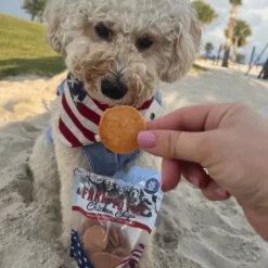 Americana Chicken Chips for Dogs