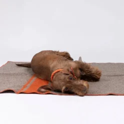 Ansel Recycled Wool Dog Blanket