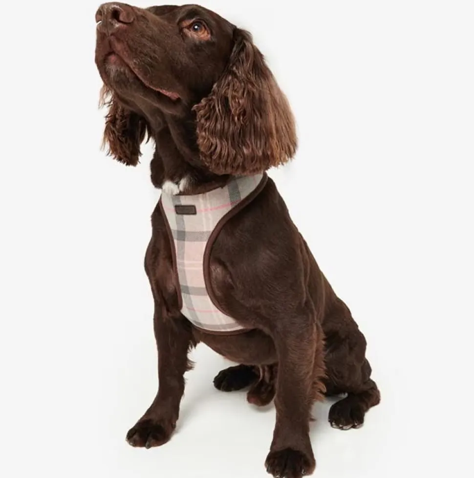 Barbour Dog Harness in Classic Pink Tartan
