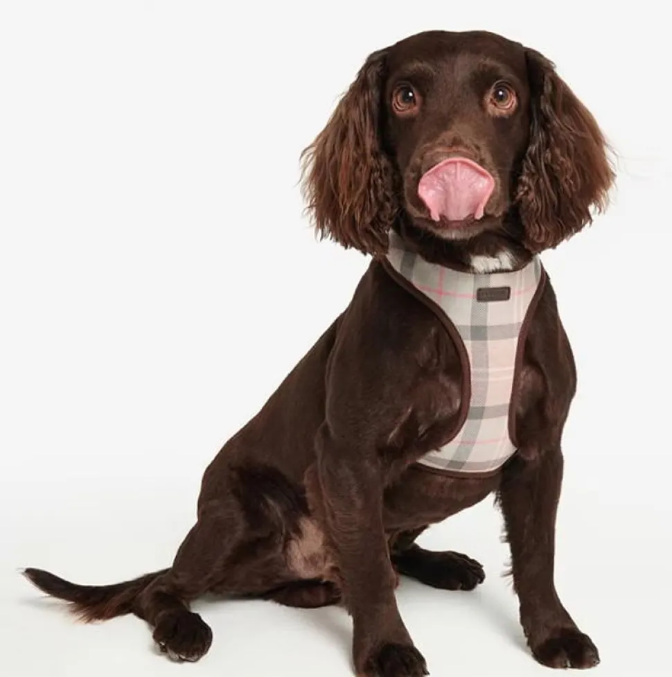 Barbour Dog Harness in Classic Pink Tartan