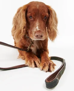 Barbour Tartan Leather Dog Leash