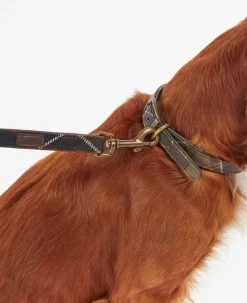 Barbour Tartan Leather Dog Collar