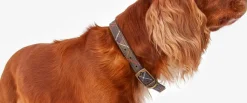 Barbour Tartan Leather Dog Collar