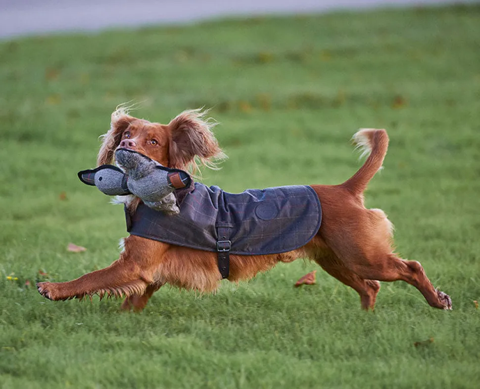 Barbour Waxed Cotton Tartan Dog Coat - Small