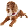 Barbour Wetherham Waterproof Tartan Dog Coat