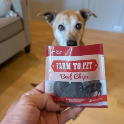 Beef Chip Snack Pack Bundles
