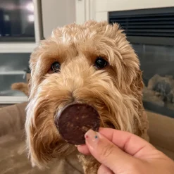 Beef Chips for Dogs