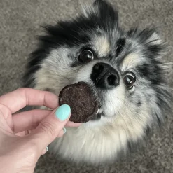 Beef Chips for Dogs