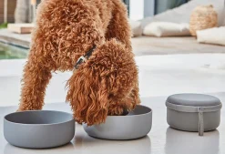 Bento Dog Travel Bowl Food Container
