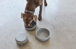 Bento Dog Travel Bowl Food Container