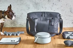 Bento Dog Travel Bowl Food Container