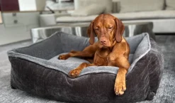 Bowsers B-Lounge cashmere fur dog bed