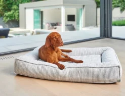 Bowsers Divine cool gel memory foam large dog futon