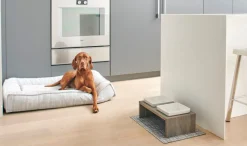Bowsers Dog Gourmet Placemat