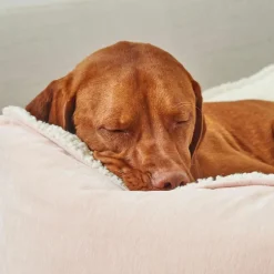 Bowsers Microvelvet Scoop Dog Bed in Pink