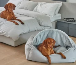 Canopy Dog Bed