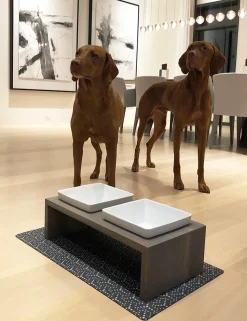 Ceramic Pet Bowls With Wood Stand For Dogs