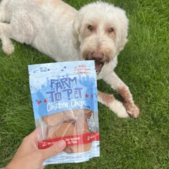 Chicago Chicken Chips for Dogs