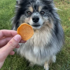 Chicago Chicken Chips for Dogs