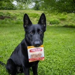 Chicken Chip Snack Pack Bundles
