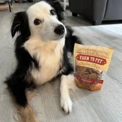 Chicken Chips for Dogs
