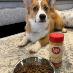 Chicken Treat Dog Food Topper