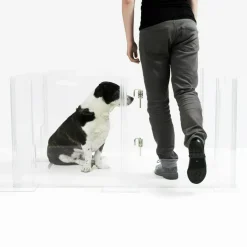 Clear Acrylic Puppy Playpen
