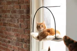 Cloud Nine Window Hammock For Cats