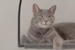 Cloud Nine Window Hammock For Cats