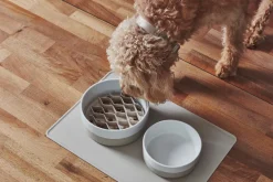 Coppa Porcelain Dog Bowl Set: Bowls, Treat Jar & Slowfeeder