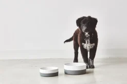 Coppa Porcelain Dog Bowl Set: Bowls, Treat Jar & Slowfeeder