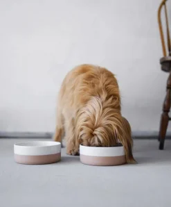 Coppa Porcelain Dog Bowl Set: Bowls, Treat Jar & Slowfeeder