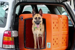 Dakota G3 Large Size Dog Kennel