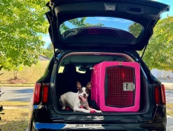 Dakota G3 Large Size Dog Kennel