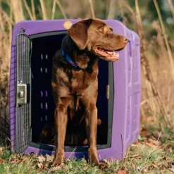 Dakota G3 Medium Size Dog Kennel