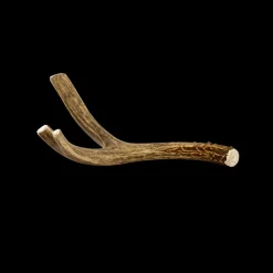 Deer Antlers for Dogs