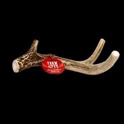 Deer Antlers for Dogs