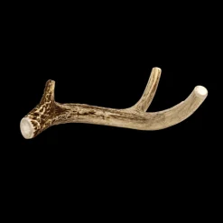 Deer Antlers for Dogs