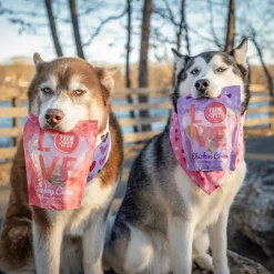 Dog Valentine Love Chips Bundle