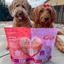 Dog Valentine Love Chips Bundle