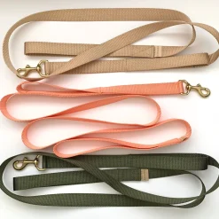 double handle 6' long leash