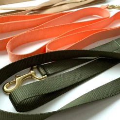 double handle 6' long leash