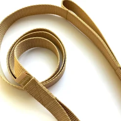 double handle 6' long leash