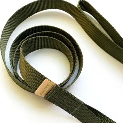 double handle 6' long leash